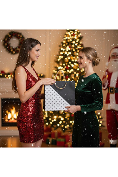 DODOMAR 44×35×18 cm Snowflake Black and White Wicker Handle Plexiglass Figured Cavita B6 Luxury Christmas Gift Bag