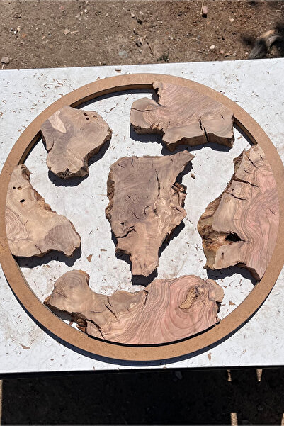 Genel Markalar Epoksi Projeleri İçin Kurutulmuş Zeytin Ağacı Parçaları 5+1 Set – 20-70 cm Seçenekli