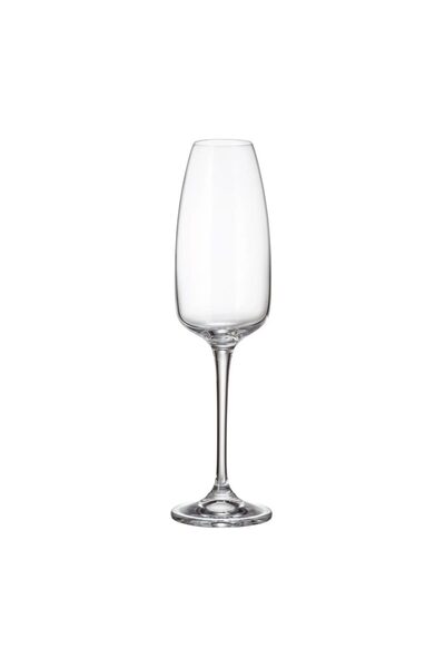 BOHEMİA CRYSTAL Set of 6 Crystal Bohemia Anser Champagne Glasses 290 ml, tran...