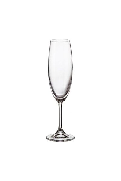 BOHEMİA CRYSTAL Set of 6 Crystal Bohemia Sylvia champagne glasses 220 ml transparent