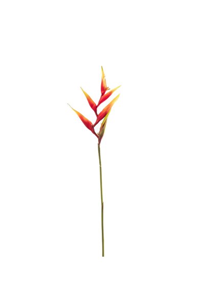 SUPERGREENS Plantă artificială Heliconia portocalie 86 cm