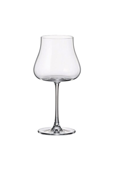 BOHEMİA CRYSTAL Set de 6 pahare de vin Crystal Bohemia Iduna 580 ml, transpar...
