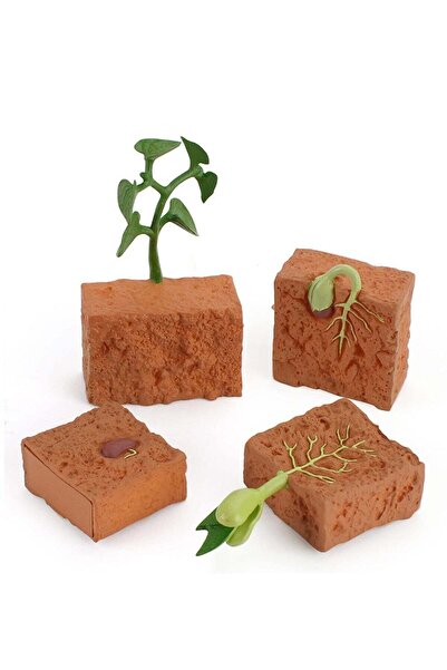 Generic Plant Growth Cycle Model Playset - Educational Plant Life Cycle Figurines