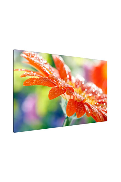 PozaTablou Imprimeu pe pânză: Dewy Delight 120x80 cm