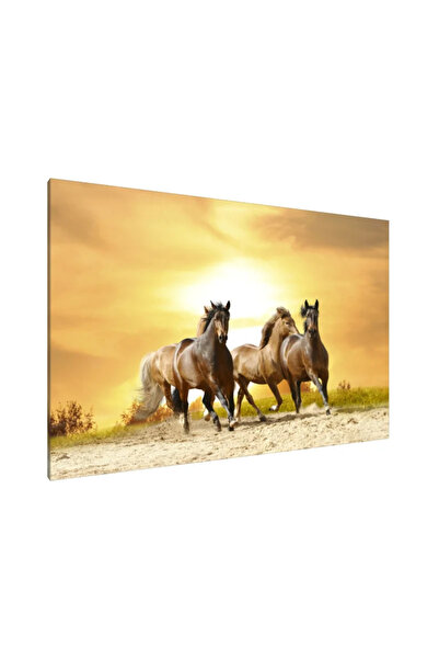 PozaTablou Tablou pe pânză: Galop la apus - 120x80 cm