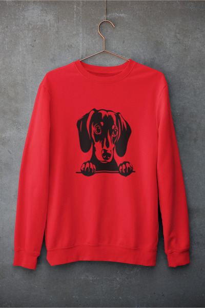 MG سويت شيرت قطني بأكمام طويلة مطبوع عليه كلب مبطن بالصوف NISEX SWEATSHIRT