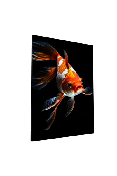 PozaTablou Pictură pe pânză: Crap Koi în lumină dramatică 50x70 cm