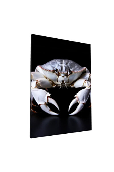 PozaTablou Pictură pe pânză: Crab realist pe fundal negru - 70x100 cm