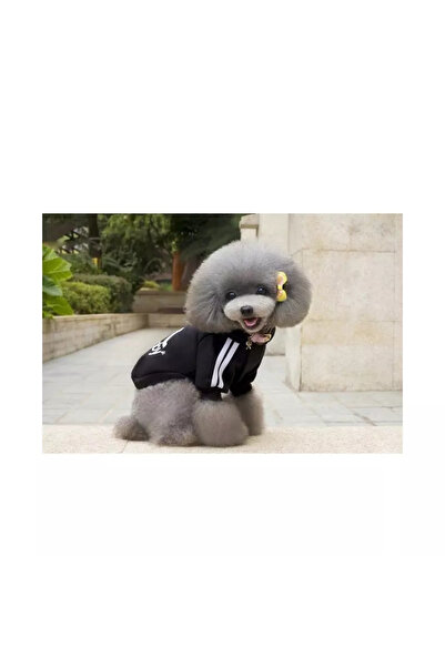 DOGBABY Hainuta cu gluga pentru catei Dogbaby,Gonga® Negru M