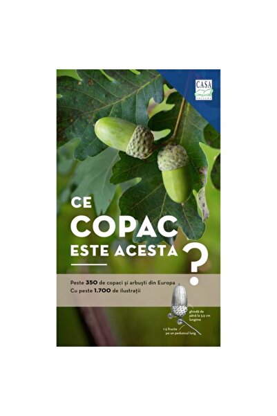 Editura Casa What tree is this?, Margot and Roland Spohn