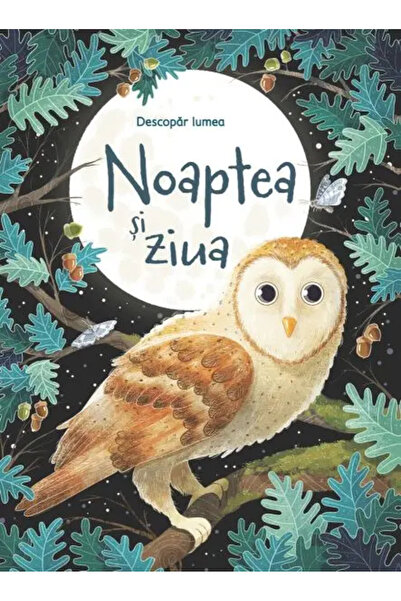 Univers Enciclopedic Junior Noaptea si ziua (Usborne)