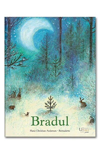 Univers Enciclopedic Junior Bradul