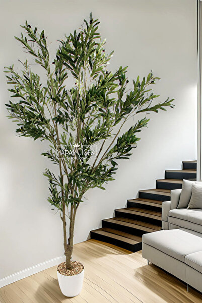 Yapay Çiçek Deposu Yapay Zeytin Ağacı 3 Gövdeli Zeytin Bahçesi 215 cm
