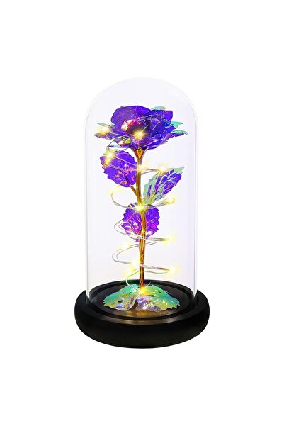 JZS Artificial Flowers Birthday Gifts for Women Light Up Rose in Dome