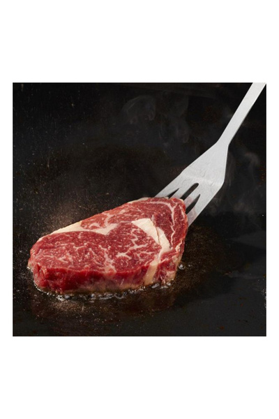 Generic 5-Piece Stainless Steel BBQ Grill Tool Set