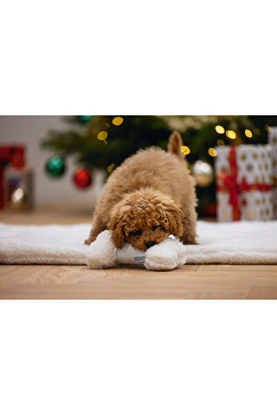 Beeztees Lvsqvr Play with the Puppy Plush. Bone 21 (100854) cm White