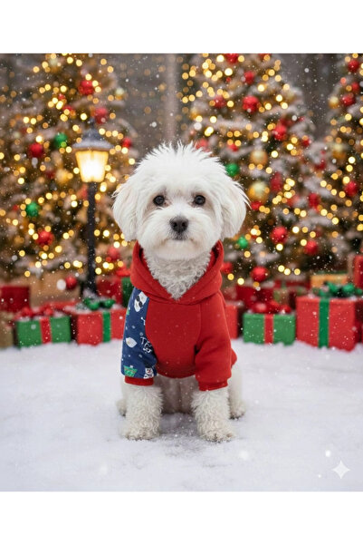PATİBÖR Christmas Themed Pompom Cat Dog Sweathirt - Cat Dog Outfit