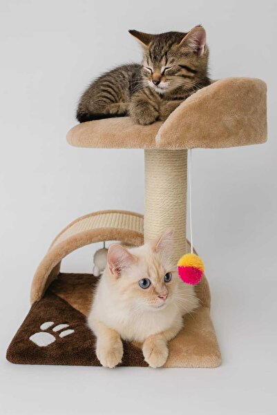 Petfactory Cat set Meow Meow Trendy 35x35x42 cm