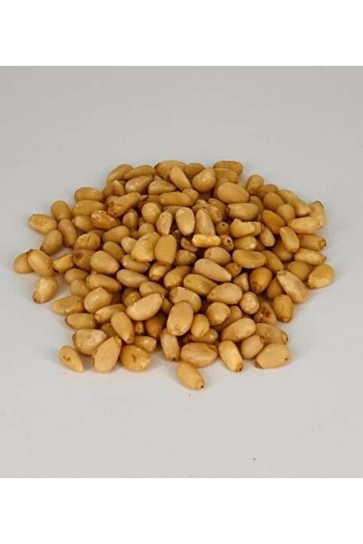 Nature Spirit روح الطبيعة -صنوبر