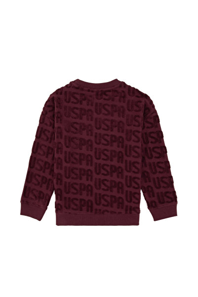 U.S. Polo Assn. Boy's Burgundy Crew Neck Sweatshirt 50308515-Vr177