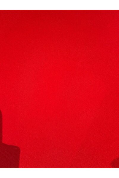 feminen Red Jersey Fabric