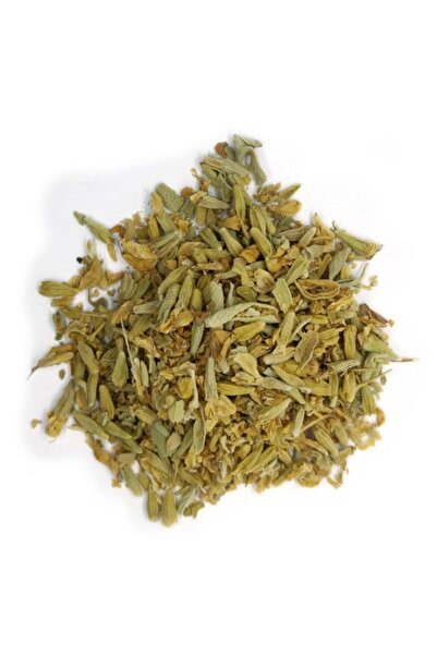 Nature Spirit روح الطبيعة -زهرة الربيع