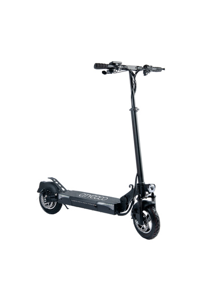 Citycoco T4 Katlanabilir 600W