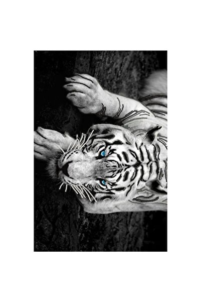 OEM 3D Rug, Multicolor Tiger, Non-slip, ST414, 120 x 180 cm