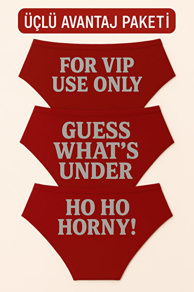 TWINTICKS Pack of 3 Red Christmas Themed Women's Slip Panties, Metallic Lettering Printed , Fun Underwear