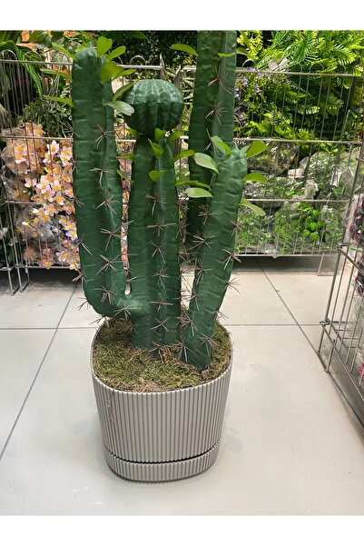 EVORA LUXE Premium Gerçekçi Büyük Yapay Kaktüs Dekor