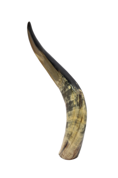 Generic Real Hand-Carved Decorative Horns – Natural Rustic Home Accent
