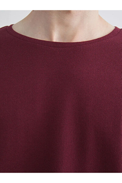 LC Waikiki Crew Neck Long Sleeve Men's T-Shirt