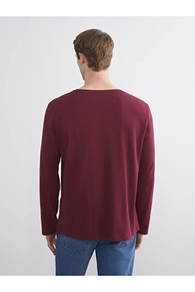 LC Waikiki Crew Neck Long Sleeve Men's T-Shirt