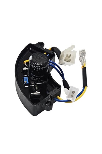 Roco AVR Generator 2KW (250V 220F) - 8 wires