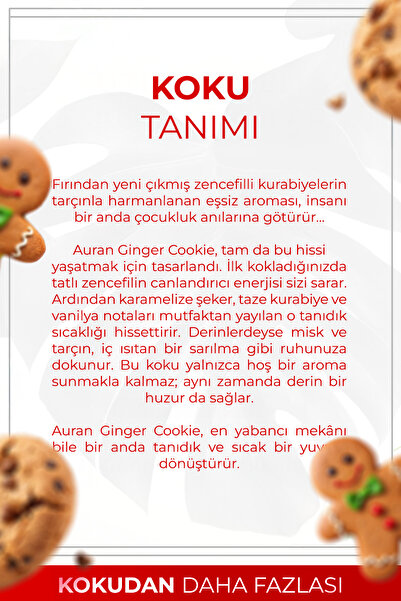 AURAN Ginger Cookie Çubuklu Oda Kokusu Bambu Ortam Kokusu Zencefilli Kurabiye Kokulu Reed Diffuser 50ml