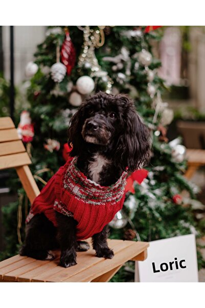 Lorico Dog Christmas Sweater