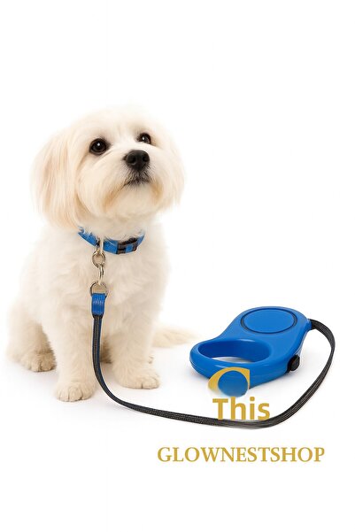 GlowNestshop Dog Walking Leash 3 Meters Automatically Extending Handle