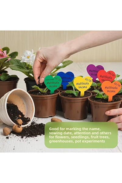 M.C Flower Labelling Stick-Plastic