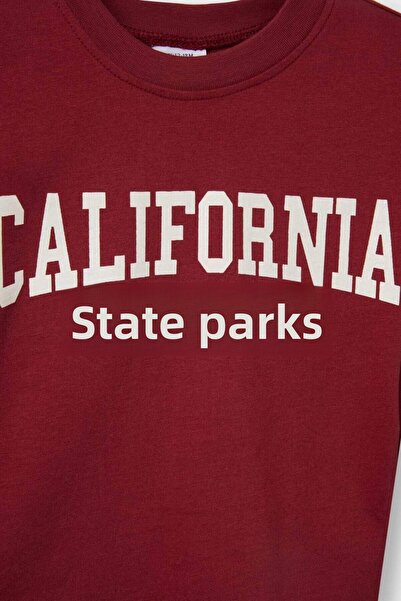 DeFacto Baby Boy Crew Neck Printed 2-Pack Long Sleeve T-Shirt F3401A525Au