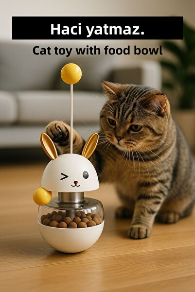 CasaPetra وعاء طعام ممتع للقطط من كيدي هاسيتيازاك، وعاء طعام ممتع للقطط، إكسس...