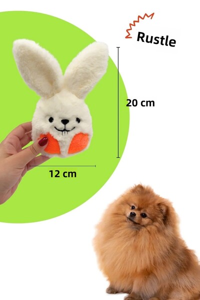 Havhav Dog Toy White Rabbit & Thin Carrot Plush Dog Toy Set of 2