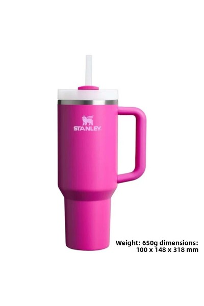Stanley Quencher H2.O Flowstate ™   Tumbler Thermos with Straw 1.18L Flask with Straw Fuchia