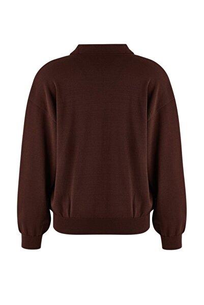 Trendyol Curve Wardrobe Essentials Brown Mercerized Look Polo Neck Knitwear Sweater Tbbaw26An00057
