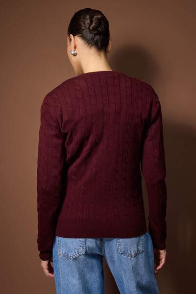 Trendyol Collection Burgundy Horse Embroidered V-Neck Hair Knitwear Sweater Twoaw26Kz00259