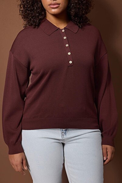 Trendyol Curve Wardrobe Essentials Brown Mercerized Look Polo Neck Knitwear Sweater Tbbaw26An00057