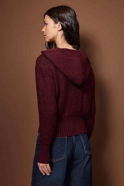 Trendyol Collection Plum Soft Textured Hooded Zipper Knitwear Cardigan Twoaw26Hi00296