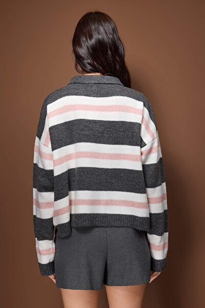 Trendyol Collection Anthracite Polo Neck Burgundy Striped Knitwear Sweater Twoaw26Kz00286