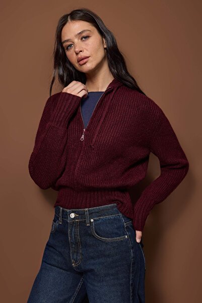 Trendyol Collection Plum Soft Textured Hooded Zipper Knitwear Cardigan Twoaw26Hi00296