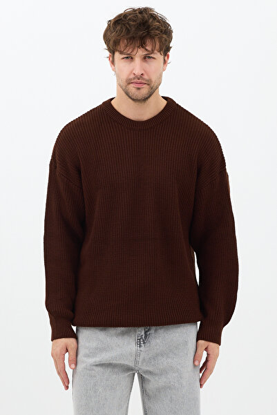 Tarz Cool Men's Brown Regular Fit Crew Neck Knitted Sweater