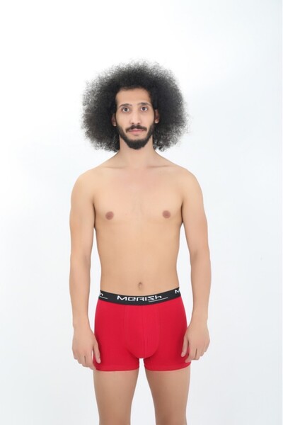 Merish Underwear Men's 6-Piece Premium Lycra Boxers (Boxed Product)